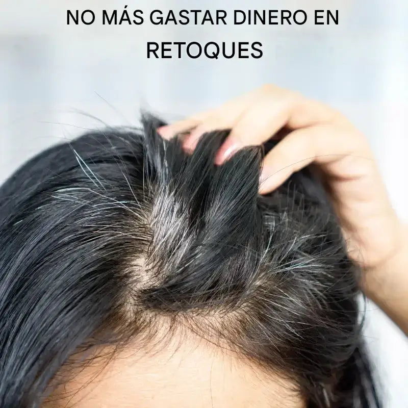 Champú para Canas Negro 3 en 1 – Cobertura Natural