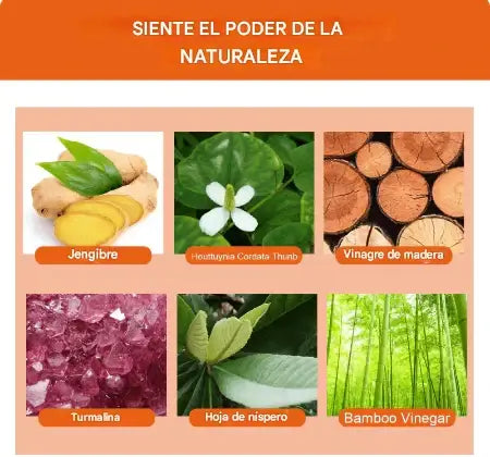 Parches desintoxicantes de pies
