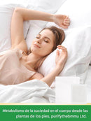 Parches desintoxicantes de pies